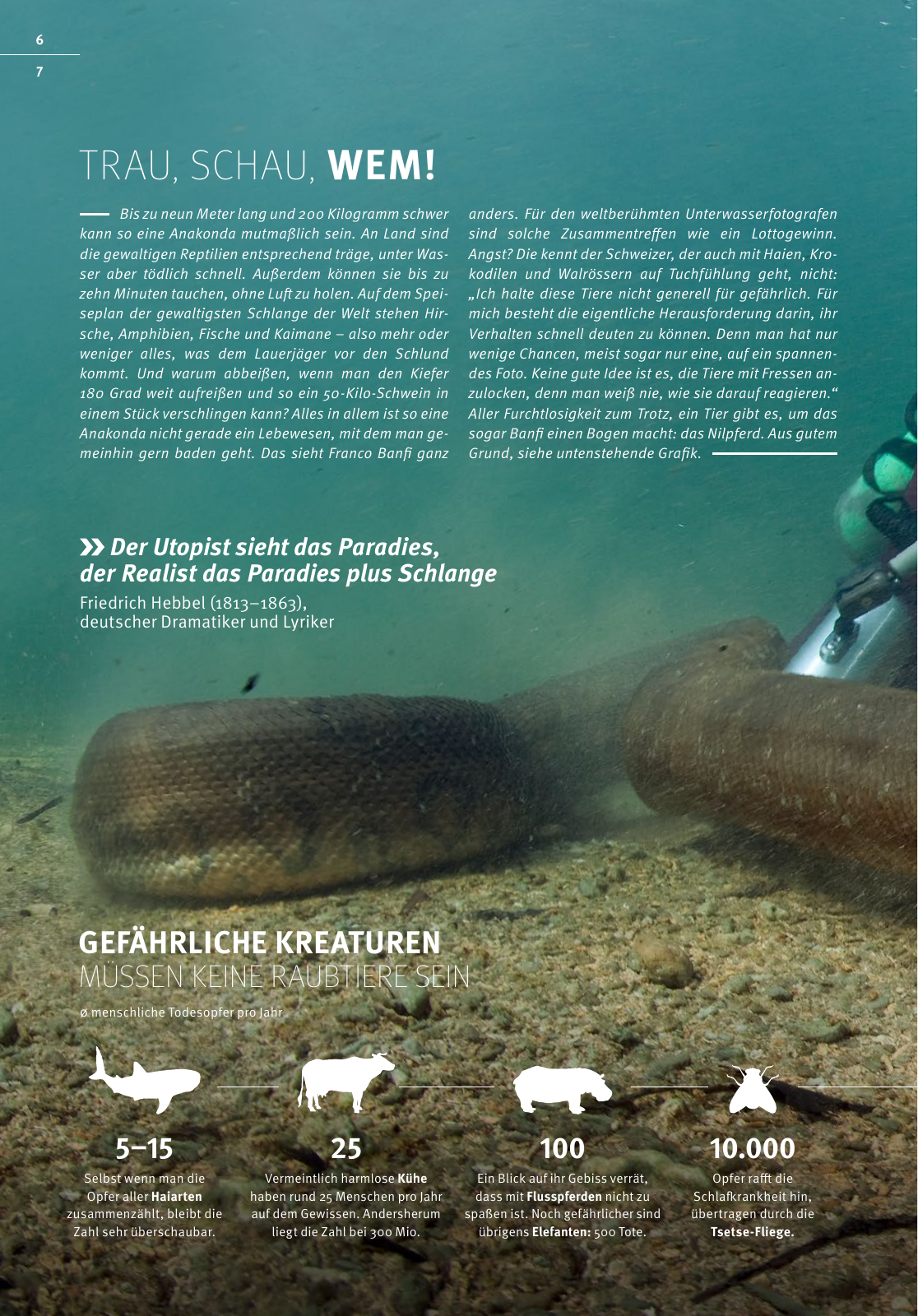 Vorschau Schaeffler tomorrow 01-2019 DE Seite 6