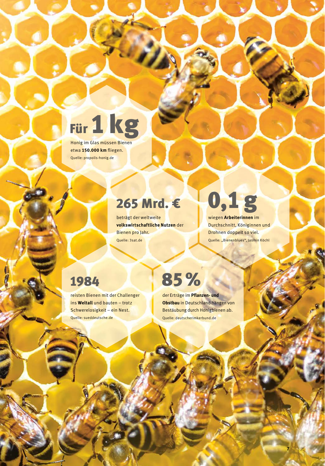 Vorschau Schaeffler tomorrow 03-2019 DE Seite 7