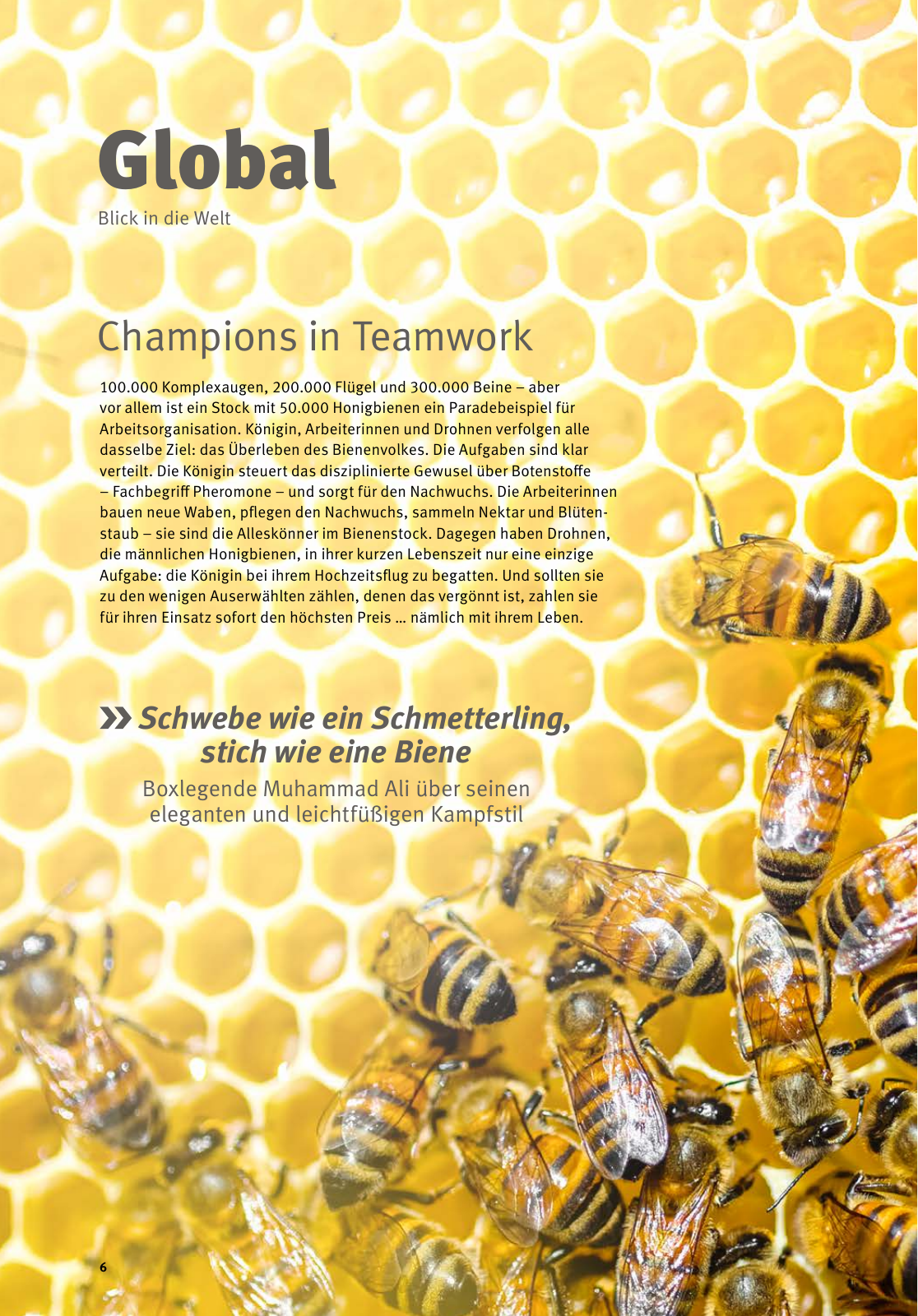 Vorschau Schaeffler tomorrow 03-2019 DE Seite 6